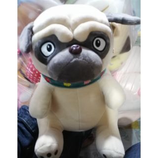 Chó pug ( mẫu nhập) 60cm
