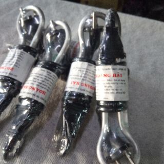 Cây nấu nước sôi