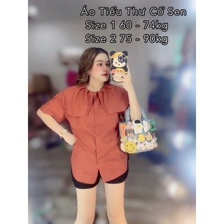 Áo Tiểu Thư Bigsize 60 - 90kg