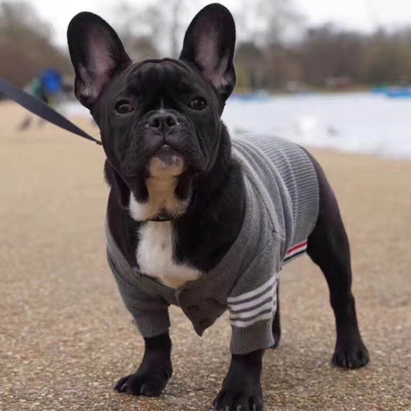 ÁO LEN THOME DÀNH CHO CHÓ LỚN