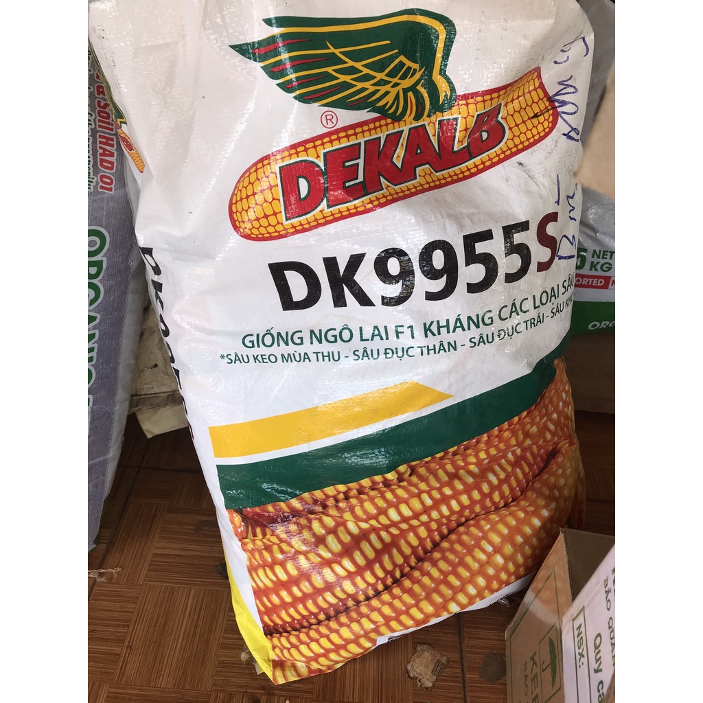 Hạt giống ngô lai F1 kháng các loại sâu DK9955S 1kg-  Bayer- NGÔ BIẾN ĐỔI GEN- NGÔ LAI DK6919S