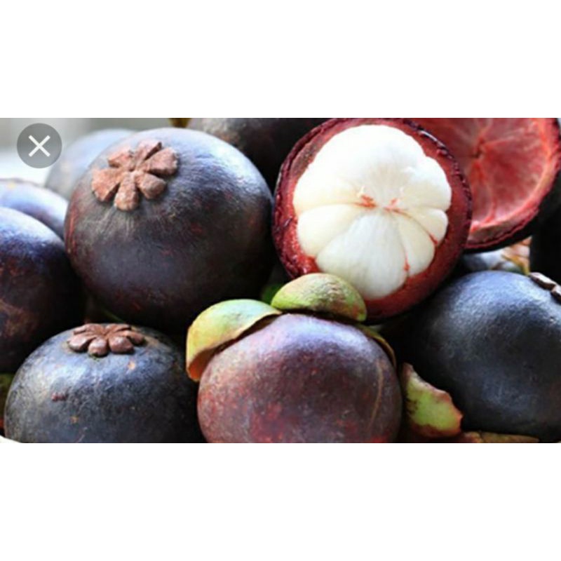 Măng cụt 1kg=40k, mangoteen fruit