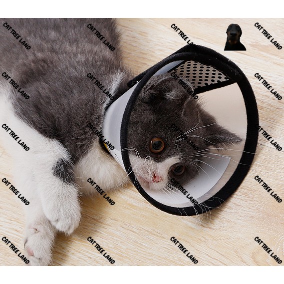 LOA ĐEO CHỐNG LIẾM CHO CHÓ MÈO - VÒNG CỔ BẢO VỆ CHÓ MÈO, CHỐNG TRẦY XƯỚC, KHÔNG THẤM NƯỚC