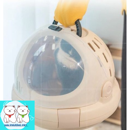 Nhà Đĩa Bay UFO 2in1 Cho Chó Mèo - Nhà Cho Chó Mèo Kiêm Túi Du Lịch - Nhà Mèo Thông Minh