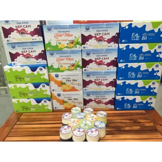 SỮA CHUA BA VÌ HIỆU CHỊ VÀNG - SỮA CHUA LÊN MEN TỰ NHIÊN