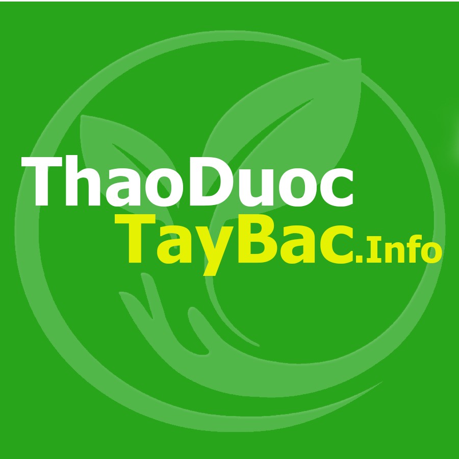 Dược Liệu Tây Bắc Hà Nam