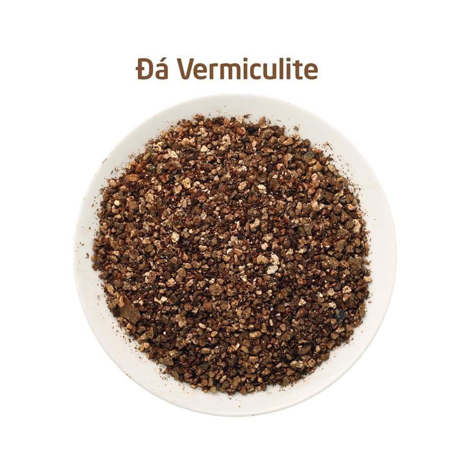 Giảm giá  Đá Pumice Perlite Vermiculite Peat Moss rẻ đẹp