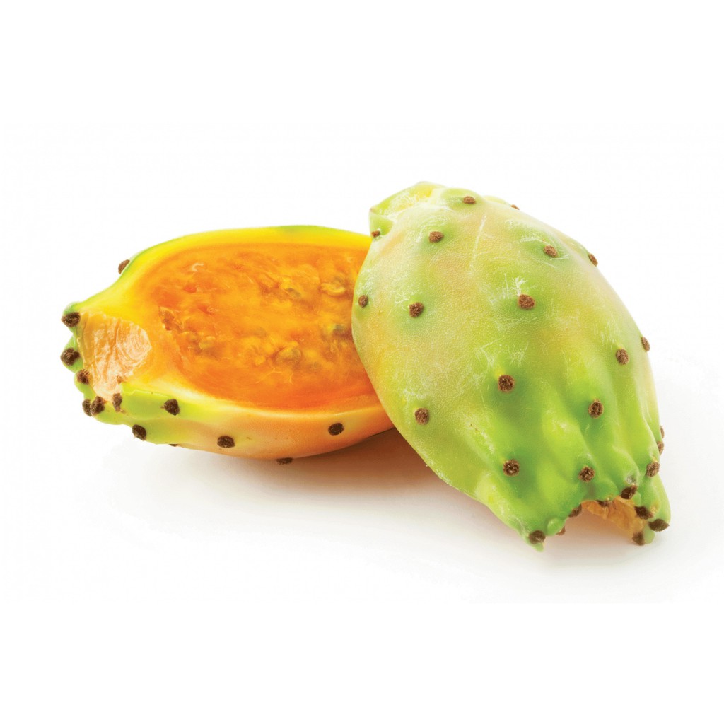 Dầu hạt xương rồng Prickly Pear Seed Oil hữu cơ Premium Liquid Gold (OIL03)