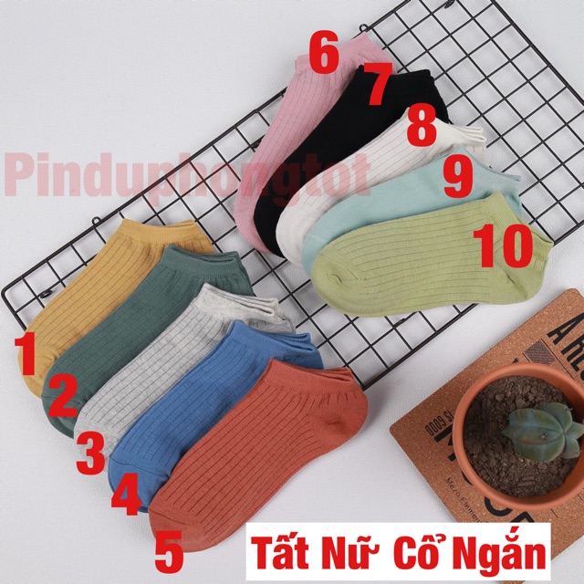 Tất Nữ Cổ Ngắn Style Hàn Quốc Chất Nhật