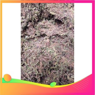 [Hàng chuẩn zin] 1 kg dớn mềm trắng trồng lan