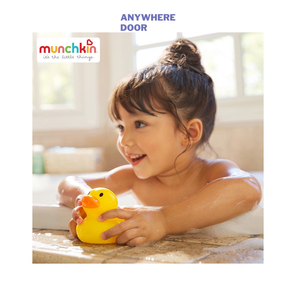 Vịt vàng báo nóng Munchkin