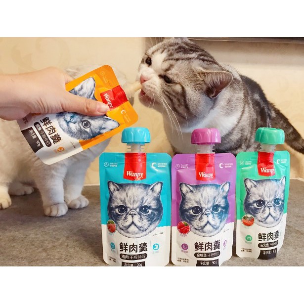 Súp thưởng nắp vặn WANPY cho mèo gói to 90gram