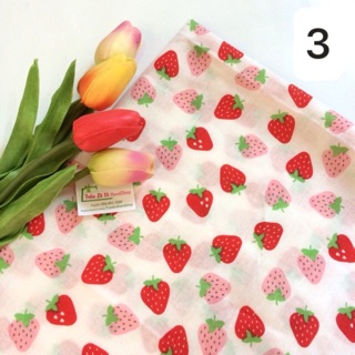 VẢI THÔ KATE 🍓V168