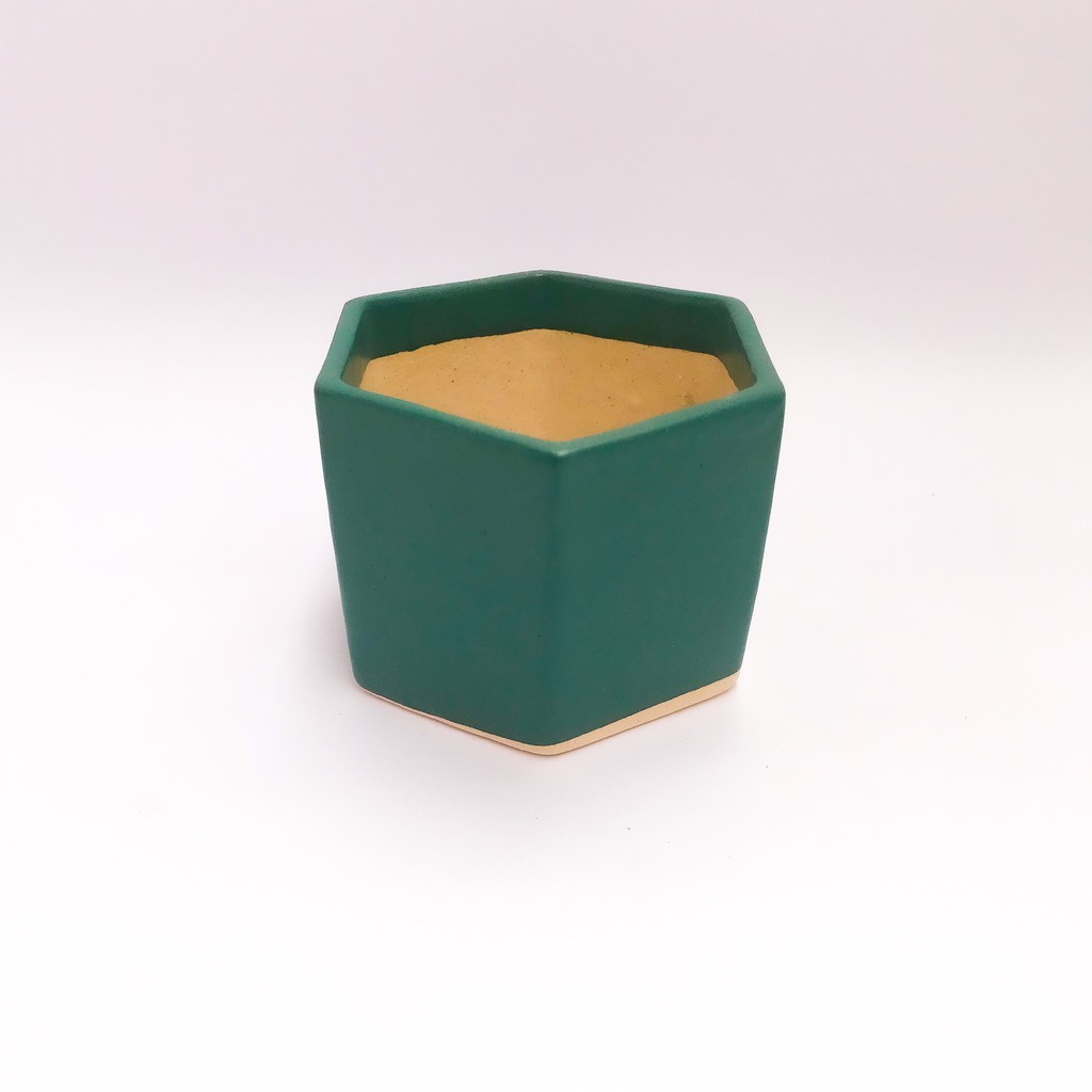 CHẬU LỤC GIÁC TRỒNG CÂY SIÊU DỄ THƯƠNG