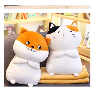 Mền 3in1 hình mèo