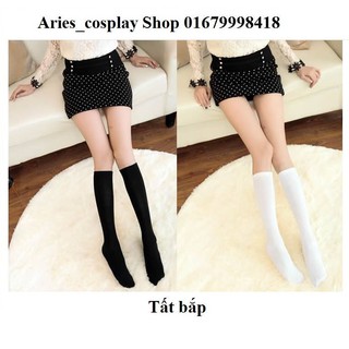 Tất bắp (Aries Cos)