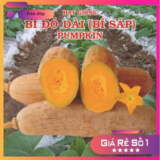 Hạt giống Bí đỏ dài (Bí sáp) (5g)