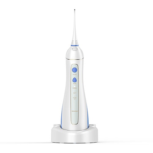 Máy tăm nước Roaman WF8801