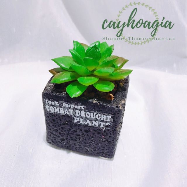 Cây Giả - Chậu Sen Đá Hoa Sen MSOH