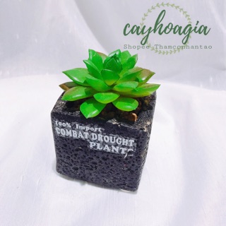 Cây Giả - Chậu Sen Đá Hoa Sen MSOH
