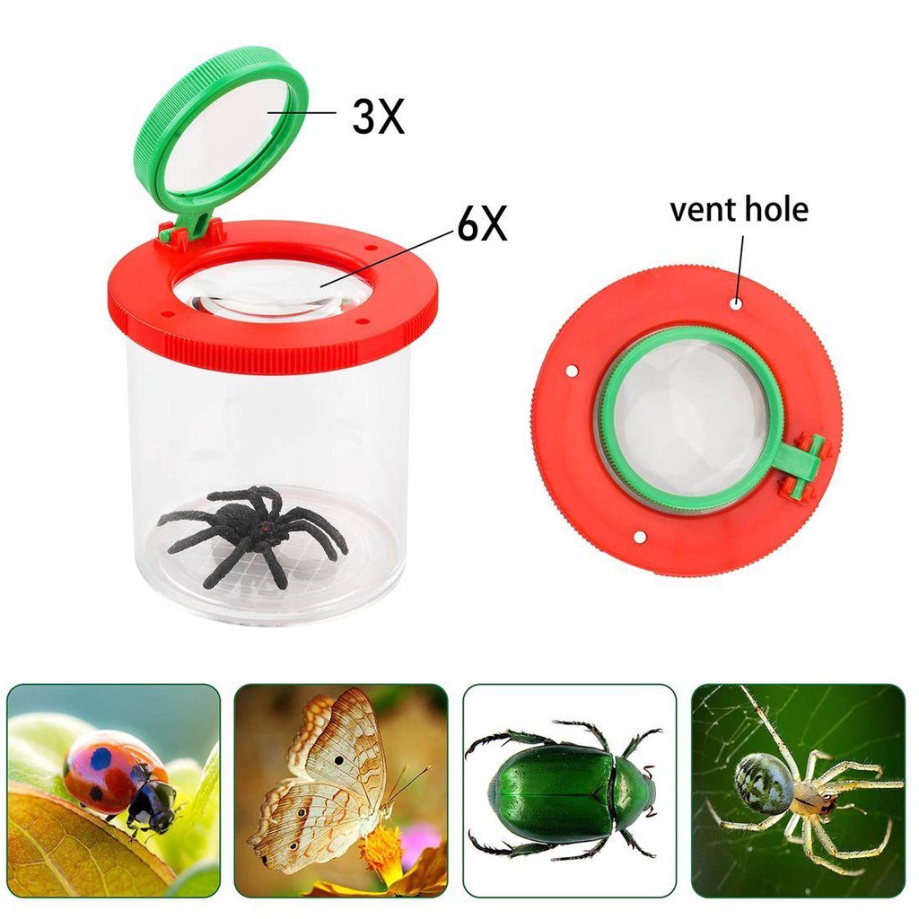 LET Kính Lúp Phóng Đại Hình Con Bọ Cho Bé
