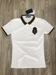 ÁO polo tang dolce