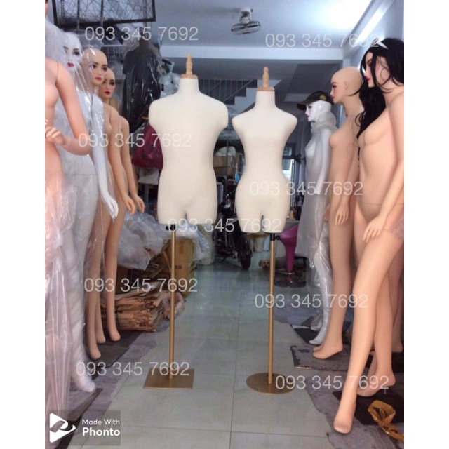 Manocanh Nam chân sắt vàng đồng