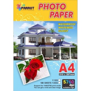 Giấy in ảnh PARROT A3 1 mặt
