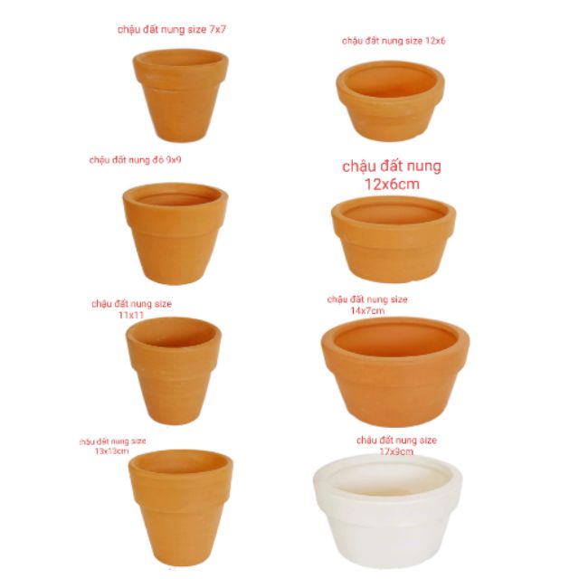 Chậu đất nung các kiểu