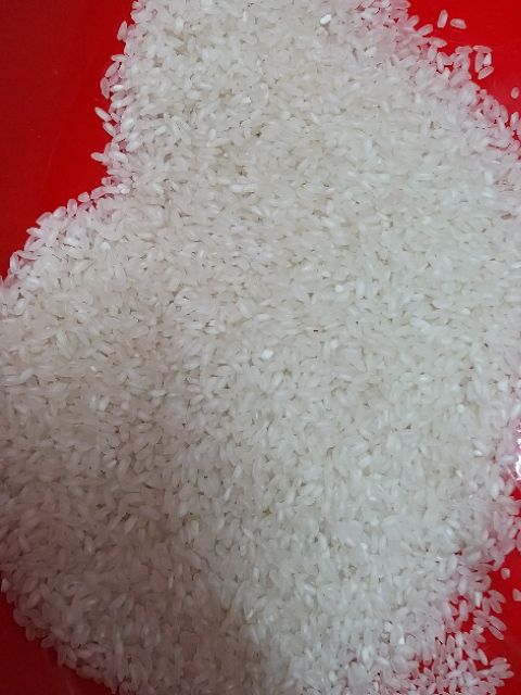 gạo khang dân ( khô) 1 kg