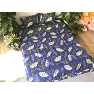 (RẺ NHẤT SÀI GÒN)Bộ ga gối poly Drap 1m6 mẫu lá mới