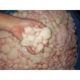 Mỡ Trăn Tươi