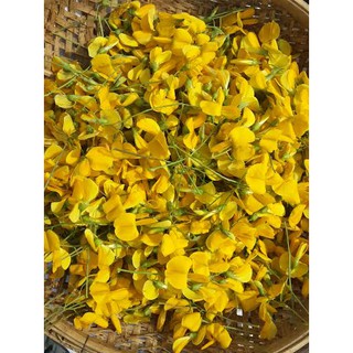 Hạt Giống Hoa Điên Điển (Sesbania sesban) 1Gram