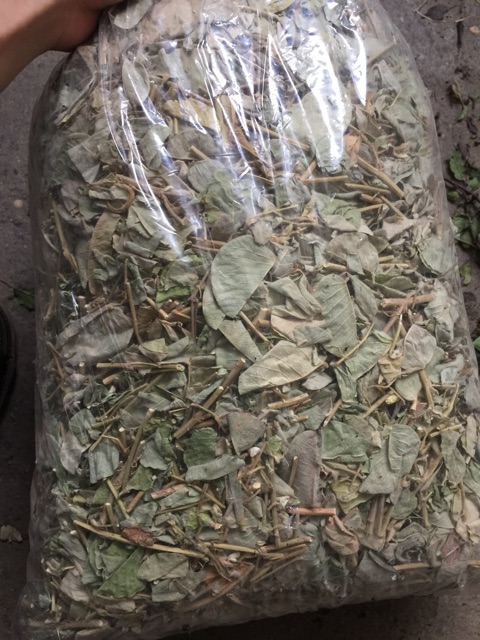 Kim Tiền Thảo(1kg)