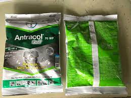 Thuốc trừ bệnh Antracol 70WP - Gói 100g