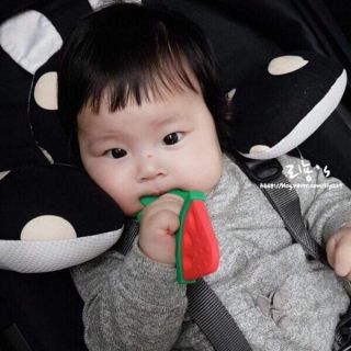Gặm nướu dưa hấu