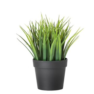 Chậu cây FEJKA IKEA chính hãng ( có sẵn)