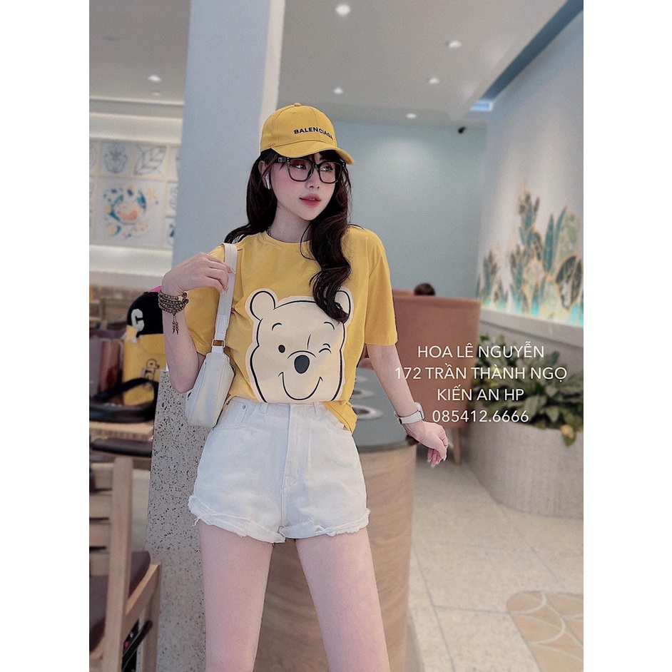 Bộ gấu vàng siêu cute mix quần short đùi TH156
