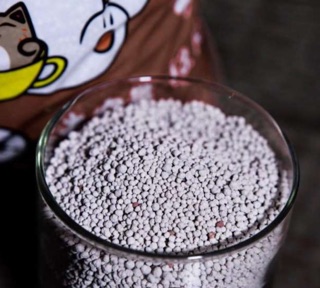 CÁT VỆ SINH CHO MÈO NEKO