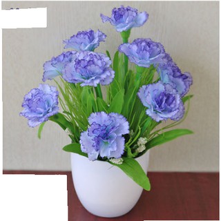 Chậu hoa để bàn xinh xắn