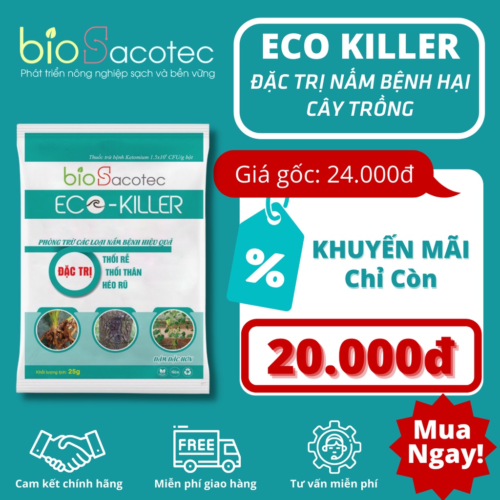 Eco Killer gói 25gam - đặc trị các bệnh thối rễ, bệnh thối thân, bệnh đạo ôn, bệnh héo rũ, bệnh đốm lá trên rau màu