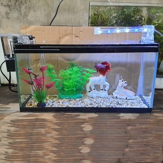 Bể cá cỡ 33 cm và 6 món (bể, sỏi nền, máy lọc nước, cây nhựa mini và cỡ vừa, phụ kiện sứ 20K)