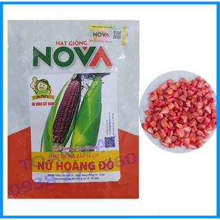 Hạt Giống Bắp Ngọt Nữ Hoàng Đỏ (50 hạt), Bắp Tím Nova Nữ hoàng đỏ, hạt giống bắp nếp