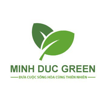 Cốc giấy, ống hút giấy