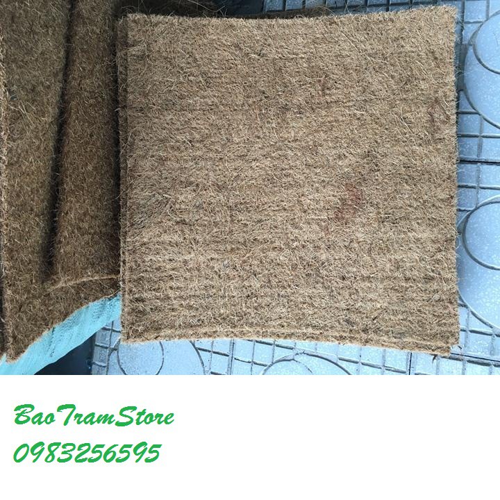 Thảm xơ dừa ép kích thước 50x50 cm, giá thể giữ ẩm cho cây trồng chậu