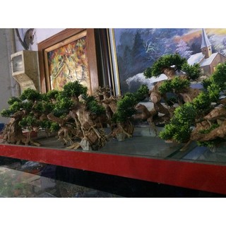 Lũa Bonsai Mini Trang Trí Bể Cá - Bể Thủy Sinh (D:20cm C: 15cm)