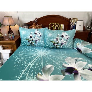 Drap thun lạnh Ý 5D