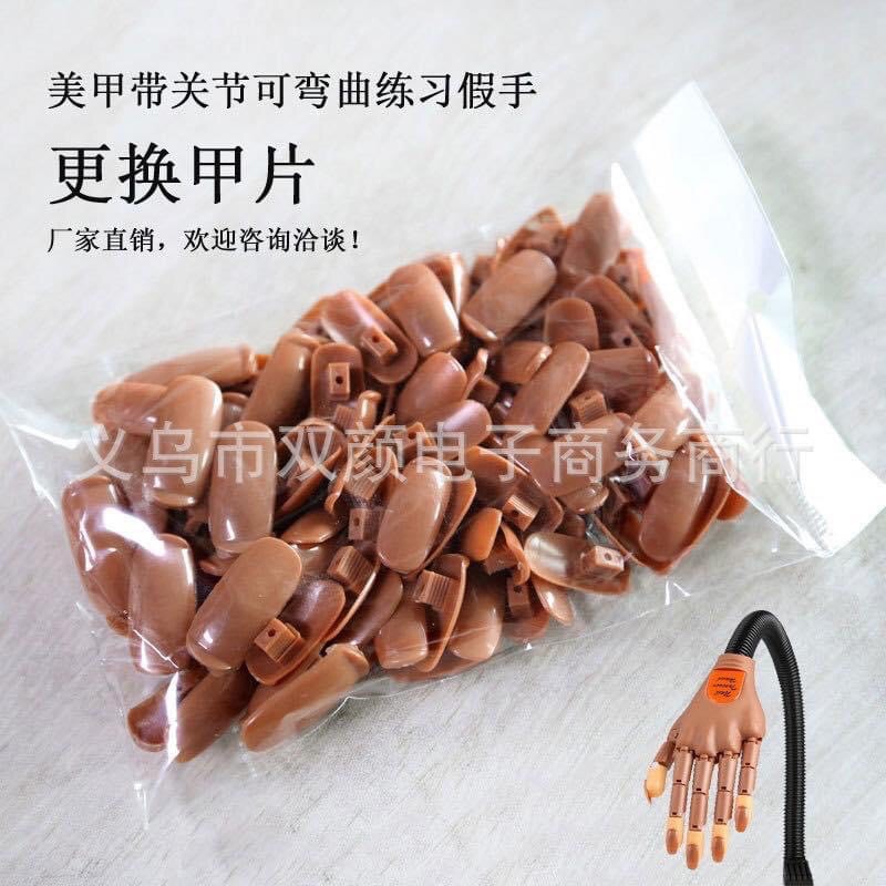 Móng nâu gắn bàn tay khớp