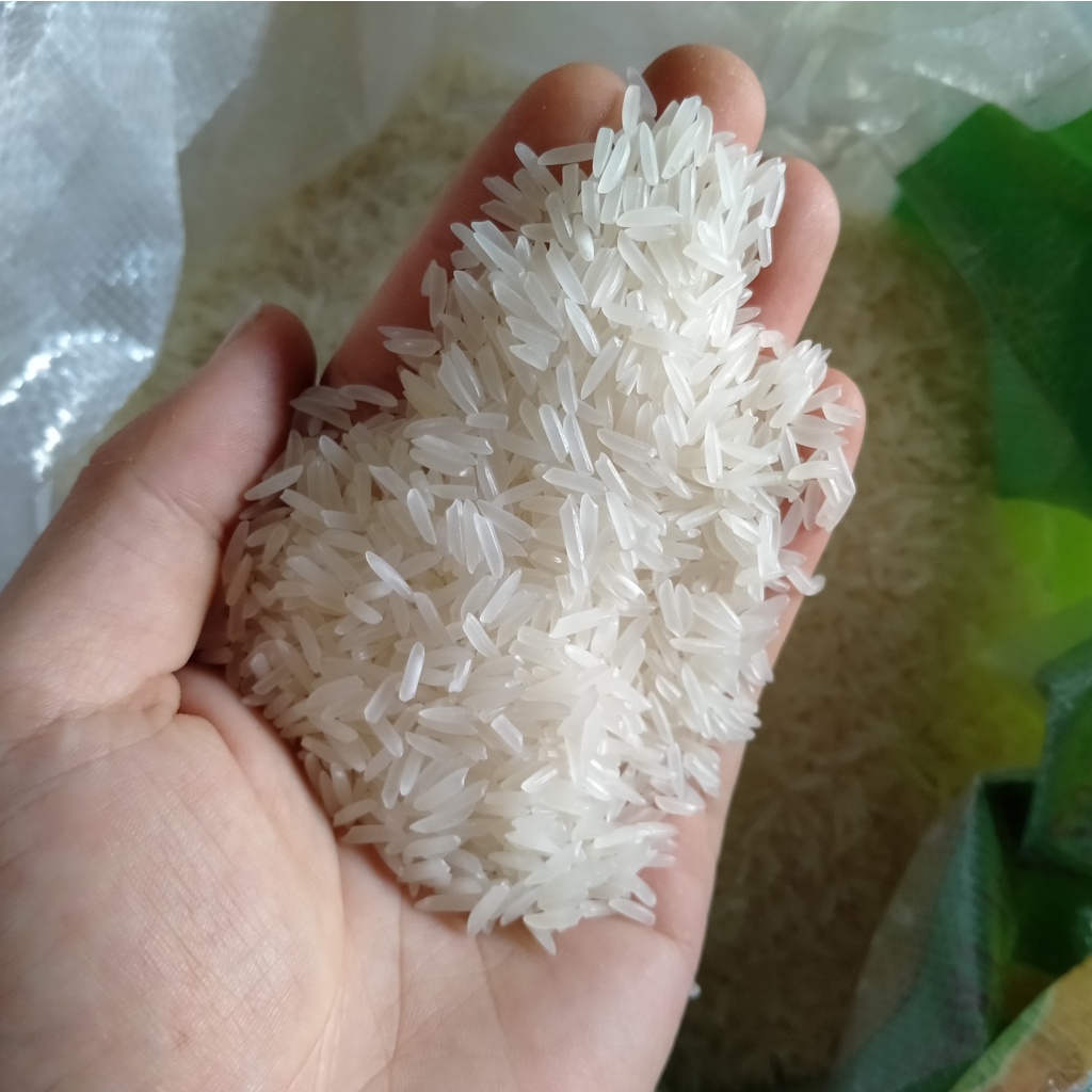 Combo 5kg Gạo ST25 - Gạo Thơm ST25 Ngon Nhất Thế Giới