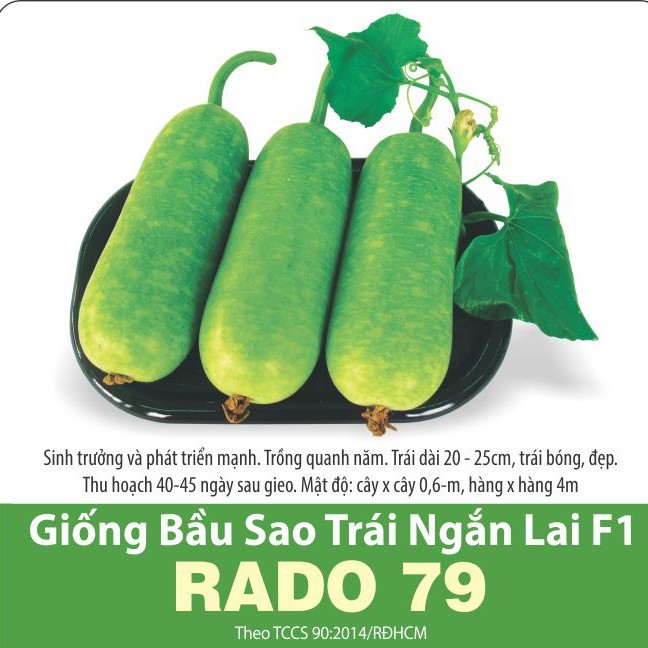 Hạt Giống Bầu Sao Trái Ngắn Lai F1 (RADO79) 2gr